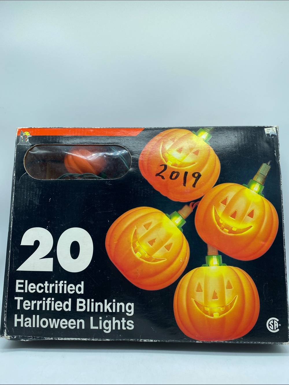 Electrified Terrified Halloween Pumpkin String Lights - 20 Lights Not Blinking